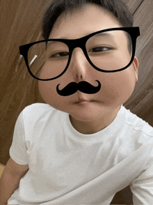 a person wearing glasses and a fake mustache on their face