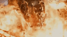 Terminator Burning GIF - Terminator Burning Fire GIFs