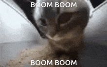 Chipi Chipi Chapa Chapa Boom Boom Boom Boom GIF - Chipi Chipi Chapa Chapa Boom Boom Boom Boom Cat GIFs