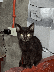 a black kitten with yellow eyes is sitting on a fence