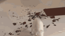 a knife is breaking a piece of chocolate on a counter top .