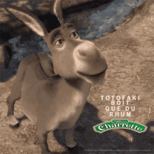 totofaki donkey shrek no head shake