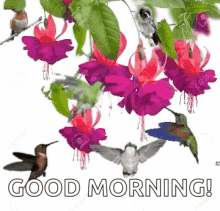 Spring Good Morning GIF - Spring Good Morning Birds GIFs