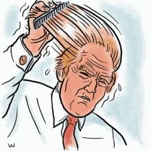Trump Hair GIF