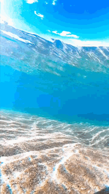 Beach Underwater GIF - Beach Underwater Cool GIFs