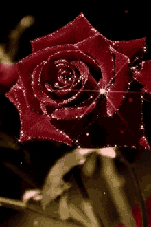 Roses Sparkle GIF - Roses Sparkle GIFs