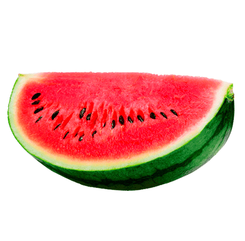 Watermelon Sandia Sticker - Watermelon Sandia Stickers