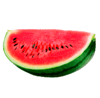 Watermelon Sandia Sticker - Watermelon Sandia Stickers