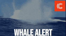 a whale alert sign with a picture of a whale