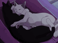 Umibe Umibe No Etranger GIF - Umibe Umibe No Etranger Umibe Cats GIFs