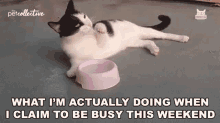 What Im Actually Doing When I Claim To Be Busy This Weekend Chilling GIF - What Im Actually Doing When I Claim To Be Busy This Weekend Chilling Relaxing GIFs