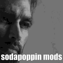 Sodapoppin Mods GIF - Sodapoppin Mods GIFs