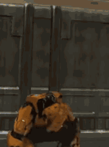 Red Vs Blue Grif GIF - Red Vs Blue Grif Cone GIFs