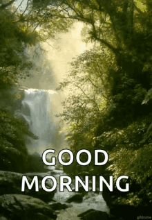 good morning water falls nature forest