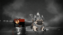 a pug wearing a helmet and armor with the name yusuf in the corner