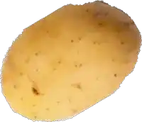 a close up of a potato with spots on it on a white background