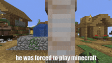 minecraft minecraft memes minecraft villager forced to play cage