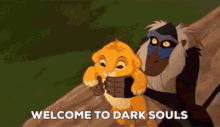 Lion King Dark Souls GIF - Lion King Dark Souls Nope GIFs