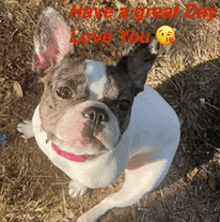 a picture of a dog with the words have a great day love you written on it
