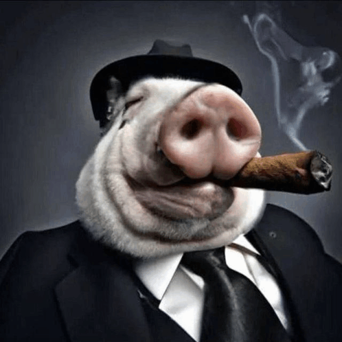 Goofy Ahh Pig GIF - Goofy ahh pig - Discover & Share GIFs