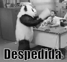 Panda Despedida GIF - Panda Despedida Enfadado GIFs