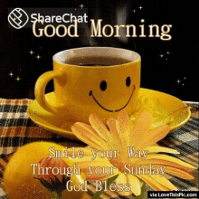 Good Morning Smile Your Way Through Your Sunday GIF - Good Morning Smile Your Way Through Your Sunday शुभप्रभात GIFs