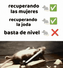 a picture of a mouse in a mousetrap with the words recuperando las mujeres recoverando la joda basta de nivel
