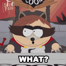 What The Coon GIF - What The Coon South Park GIFs