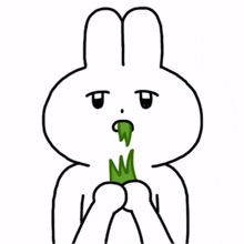 rabbit bunny white cute eat