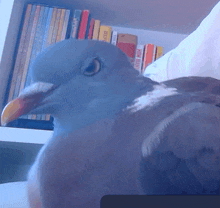 Dont Mess With Me GIF