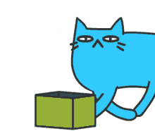 Cat Crazy Blue Cat GIF - Cat Crazy Blue Cat Small GIFs
