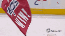 washington capitals slapshot nhl hockey mascot