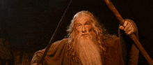 Gandalf You Shall Not Pass GIF