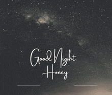 Good Night Good Night Honey GIF - Good Night Good Night Honey Hon GIFs