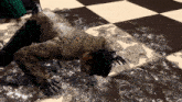 a man in a snakeskin jacket is crawling on the floor