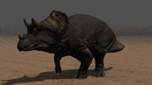 The Isle Triceratops GIF - The Isle Triceratops Kaperoo GIFs