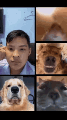 Smile Selfie GIF - Smile Selfie Video Call GIFs