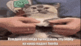 a person is petting a cat with a smiley face on their head .