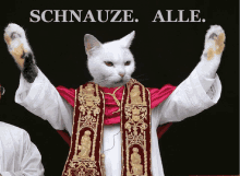 Katze Schnauze GIF - Katze Schnauze Papst GIFs