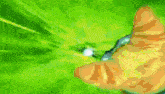 a close up of a croissant with a green background .