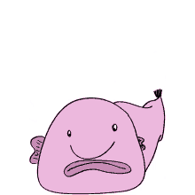 blobfish bashful