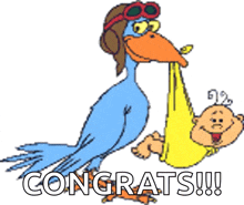 a cartoon of a stork carrying a baby and the words congrats written below it