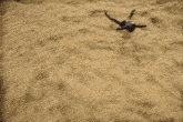 a man laying on the ground with his arms outstretched