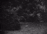 a black and white photo of a man in a trench coat standing in a forest