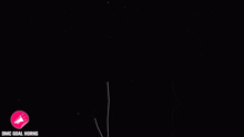 the word goal horns is written in white chalk