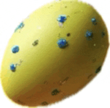 Yellow Egg GIF - Yellow Egg GIFs