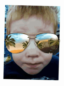 Sunglasses Boy GIF - Sunglasses Boy Palm Trees GIFs