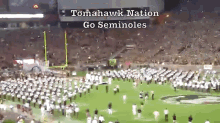 Go Noles GIF - Go Seminoles Football GIFs