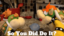 Sml Bowser GIF - Sml Bowser So You Did Do It GIFs