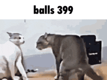 two cats are standing next to each other with the words balls 399 written above them
